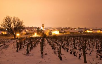 França terá uma das menores safras de vinho dos últimos 100 anos