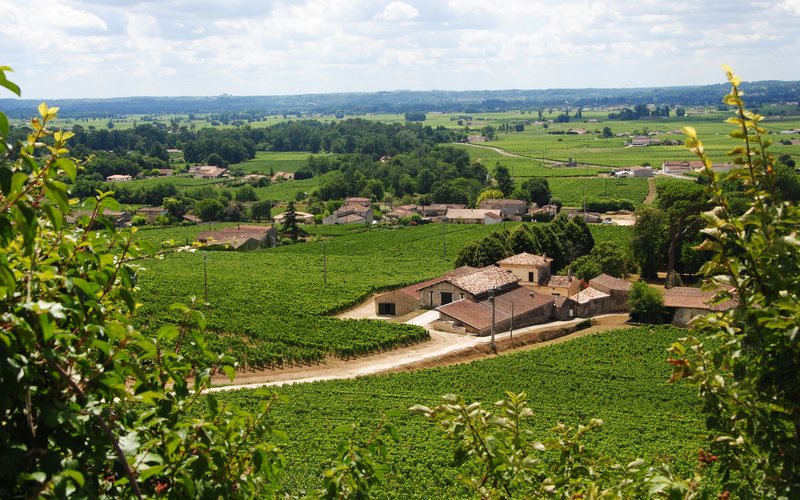 Imagem Sim, você pode comprar vinho de Bordeaux! Escolha o melhor por até 250 reais