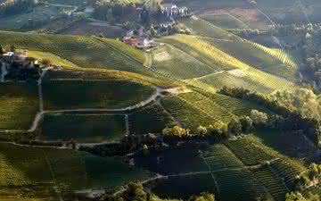 O vinho piemontese que é chamado do Barolo branco