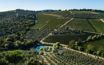 Castello di Ama mescla a linda paisagem da Toscana com arte contemporânea