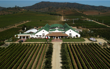 Chilena Casas del Bosque é atração turística com vinhos do Vale de Casablanca