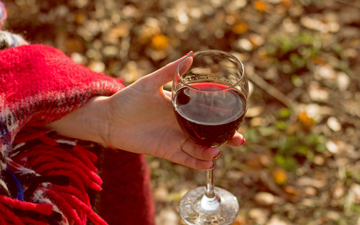 Sauternes ou Tokaji? Conheça as diferenças entre os reis das uvas podres