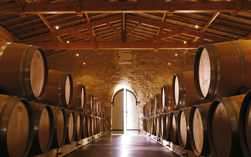 Brasil tem venda en primeur de Bordeaux cuja safra promete ser histórica