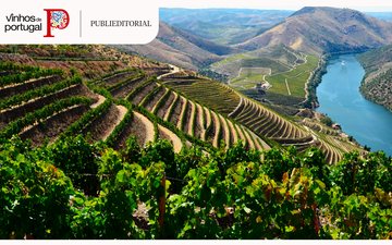 Imagem A diversidade dos Vinhos de Portugal, com suas mais de 250 castas nativas.