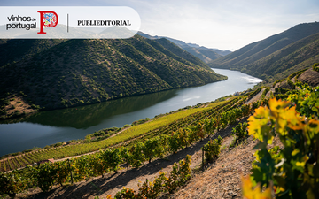 Imagem Um brinde à sustentabilidade do vinho português