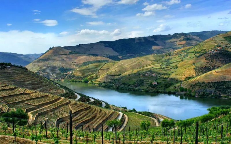 Propriedade na margem do rio Douro é uma das milhares de opções
