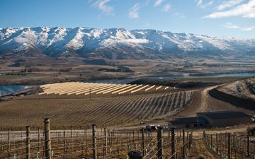 Central Otago, na Nova Zelândia, a terra do Pinot Noir no hemisfério sul