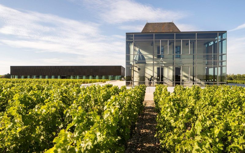 O novo design envidraçado do Château Pédesclaux buscou a união entre inovação e história na produção de vinhos