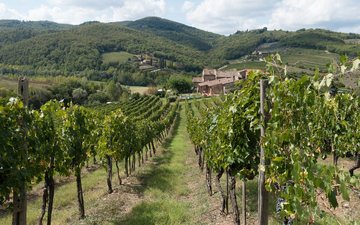 Os melhores vinhos Chianti para celebrar com os italianos