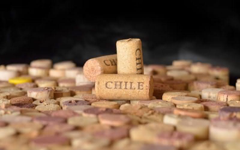 Imagem Estoques de vinhos no Chile aumentaram 9,7%