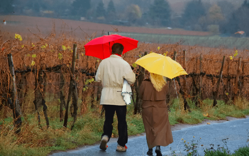 Imagem Chile sofre com fortes chuvas em regiões vinícolas