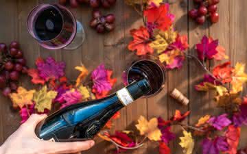 Cinsault: a uva dos rosés da Provence também dá origem a tintos amigáveis e muito agradáveis