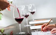 Como a pontuação de vinho é feita?