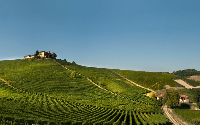 Vista do vinhedo Ravera, um dos grandes produtores de Barolo
