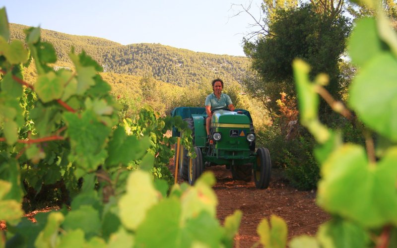 Imagem Corpinnat planeja unir qualidade e autenticidade em Penedès