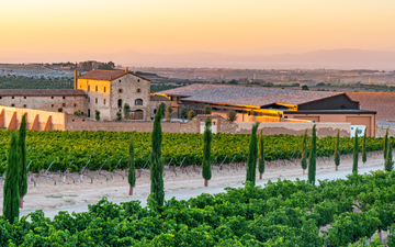 DO Costers del Segre: sete terroirs, uma denominação