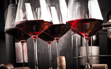 A ciência pode auxiliar os produtores de vinho a controlar a acidez da bebida, fundamental para um produto de qualidade - Divulgação