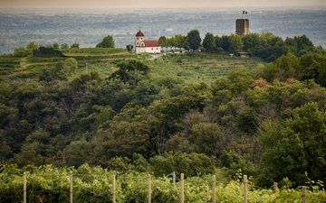 A história dos vinhos de Gattinara, famosos muito antes de Barolo e Barbaresco