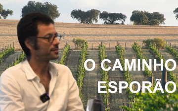 Capa do Youtube