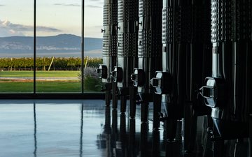 Imagem Saiba como a fermentação alcoólica transforma o suco em vinho