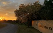Fundada por suíços em 1992, a Fromm Winery será vendida com terras, estoque e rede internacional de distribuição