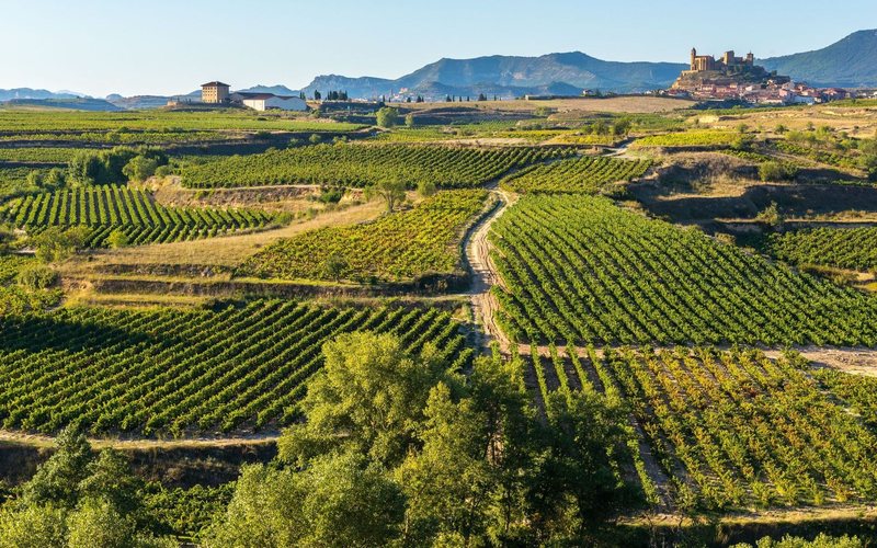 Destilação de crise na DO Ribeira Sacra é a solução emergencial para controlar o excesso de vinho tinto na região