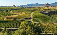 Destilação de crise na DO Ribeira Sacra é a solução emergencial para controlar o excesso de vinho tinto na região