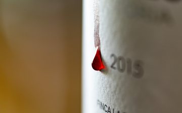O melhor vinho tinto da uva Malbec até R$250