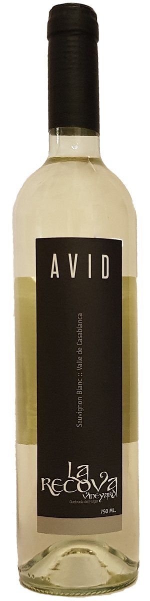 Rótulo Avid Sauvignon Blanc