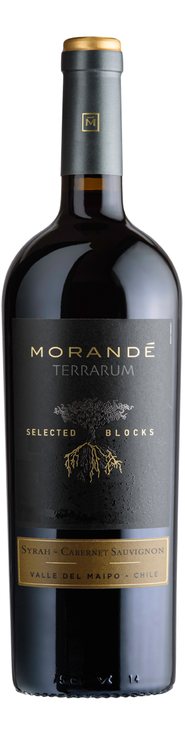 Rótulo Morandé Terrarum Selected Blocks Syrah Cabernet Sauvignon