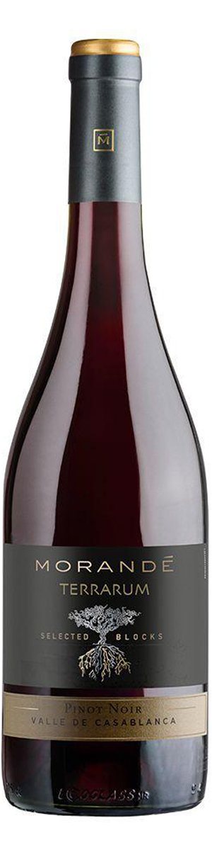 Rótulo Morandé Terrarum Selected Blocks Pinot Noir 