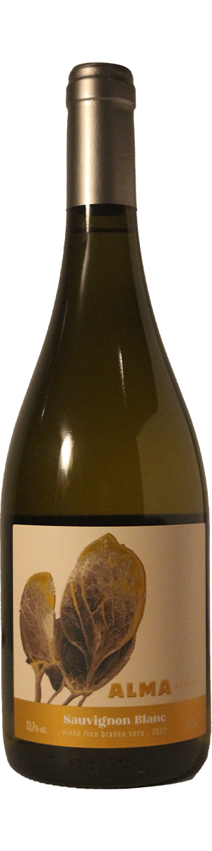 Rótulo Alma Gerais Sauvignon Blanc