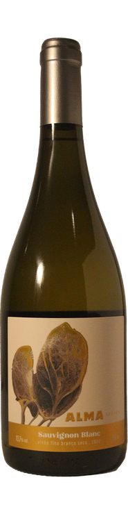 Rótulo Alma Gerais Sauvignon Blanc