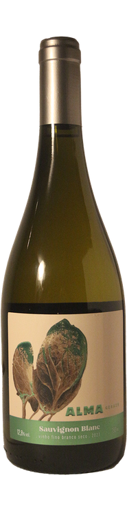 Rótulo Alma Gerais Sauvignon Blanc