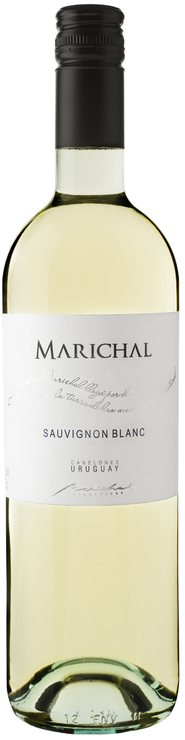 Rótulo Marichal Premium Varietal Sauvignon Blanc