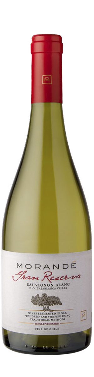 Rótulo Morandé Gran Reserva Sauvignon Blanc