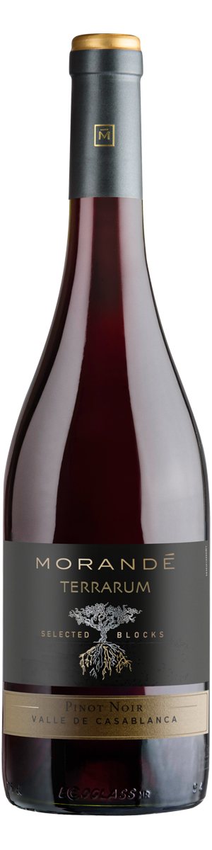 Rótulo Morandé Terrarum Selected Blocks Pinot Noir