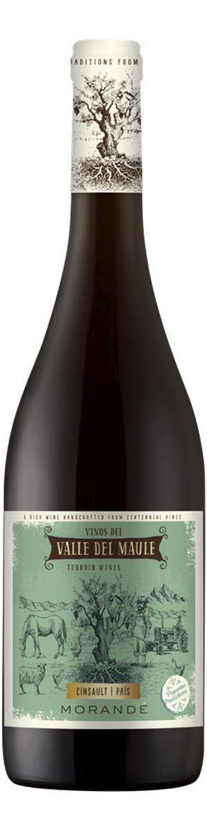 Rótulo Morandé Valle del Maule Cinsault País