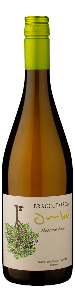 Rótulo Ombú Moscatel Seco