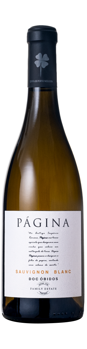 Rótulo Página Sauvignon Blanc