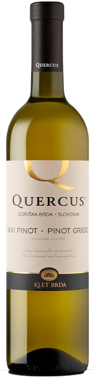 Rótulo Quercus Pinot Grigio