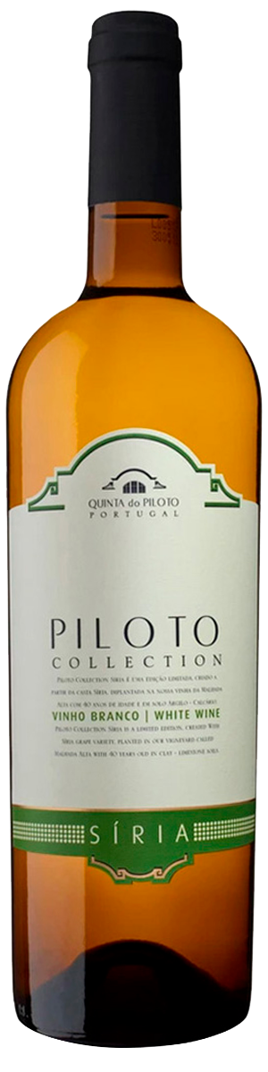 Rótulo Quinta do Piloto Collection Síria