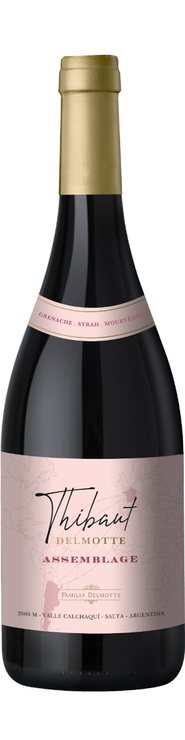 Rótulo Thibaut Delmotte Assemblage Grenache Syrah Mourvèdre