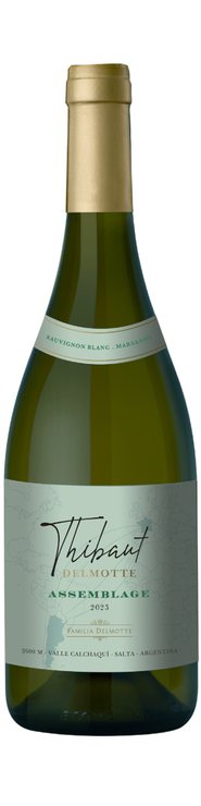 Rótulo Thibaut Delmotte Assemblage Sauvignon Blanc Marsanne