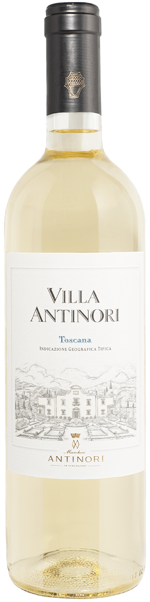 Rótulo Villa Antinori Bianco