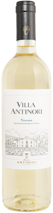 Rótulo Villa Antinori Bianco