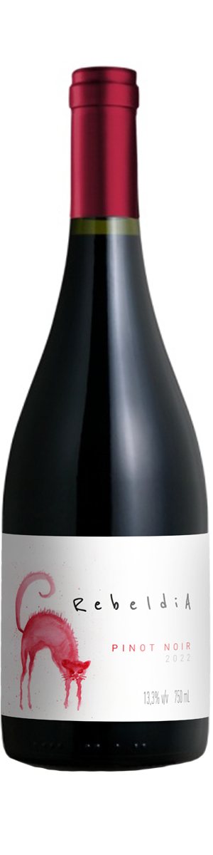 Rótulo Vistamontes Rebeldia Pinot Noir