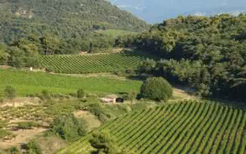 É aprovada nova AOC para Côtes\u002Ddu\u002DRhône\u002DVillages