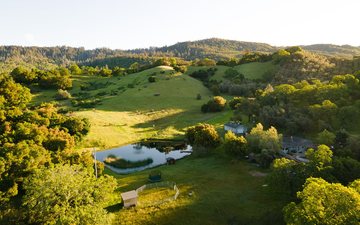 Imagem Luxuosa vinícola no Napa Valley é colocada à venda por mais de R$ 602 milhões