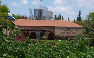As bíblicas colinas de Golã, repletas de história e disputa, estão também repletas de vinhas. Nesta foto, a paisagem é da vinícola - Golan Heights